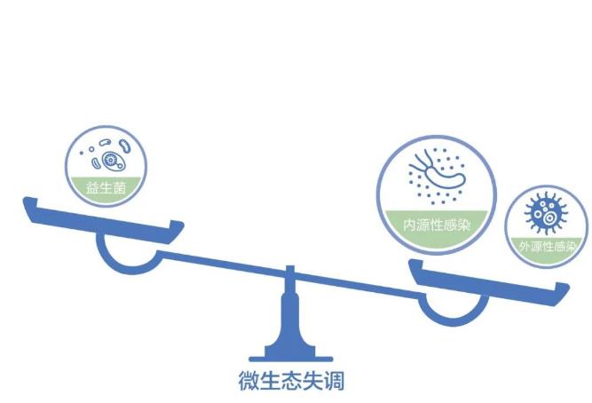 春節長假“護腸”的正確方式